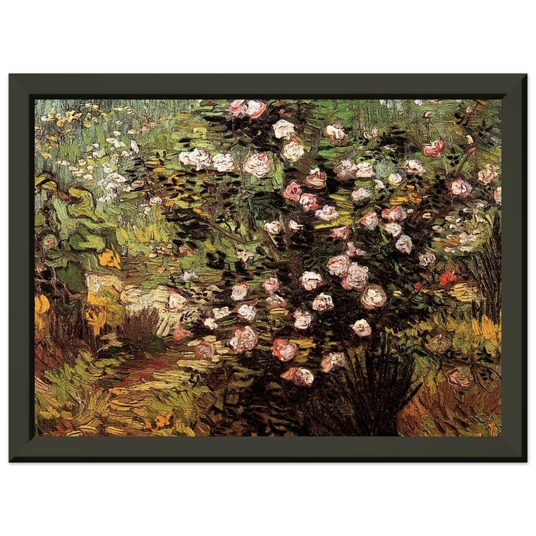 Vincent van Gogh  Rosebush in Blossom Premium Metal Framed Art Print / Poster