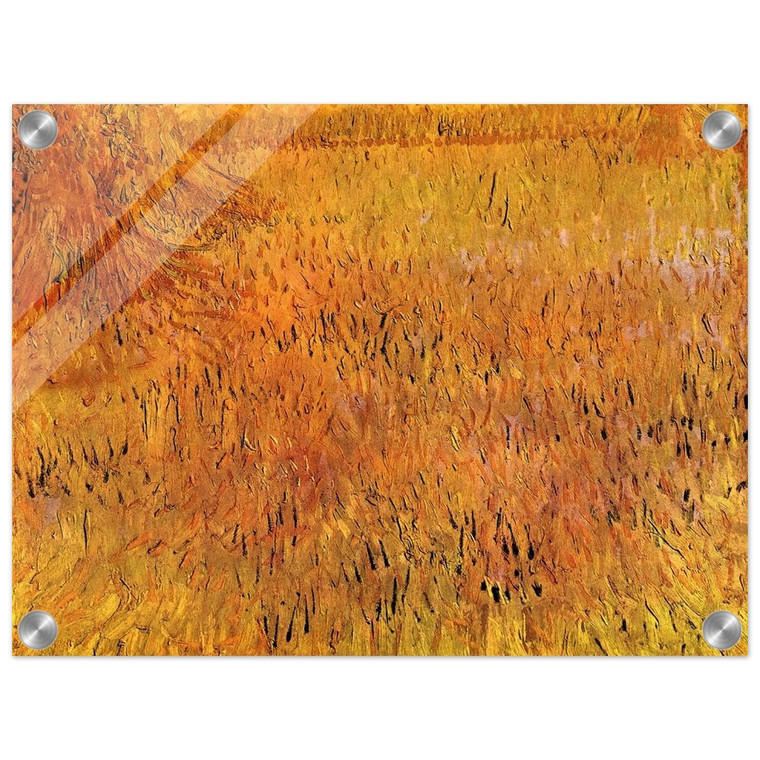 Vincent van Gogh  Arles View from the Wheat Fields Acrylic Print