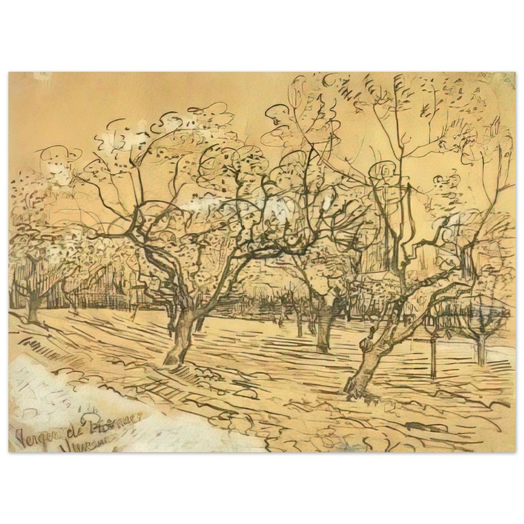 Vincent van Gogh The White Orchard Aluminum Print