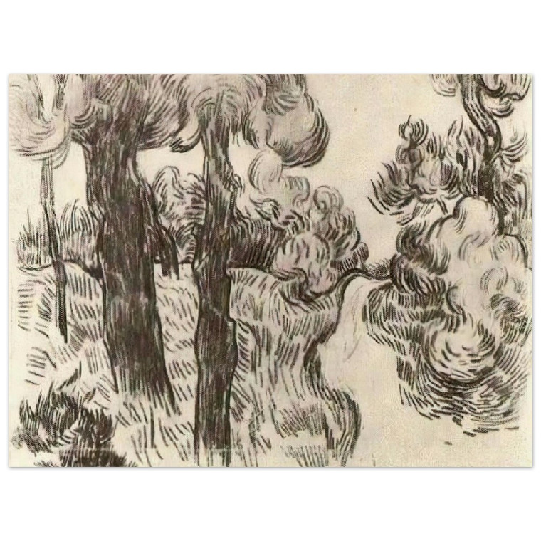 Vincent van Gogh  Path between Pine Trees Aluminum Print