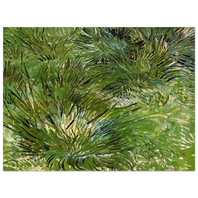 Vincent van Gogh  Clumps of Grass Wood Print