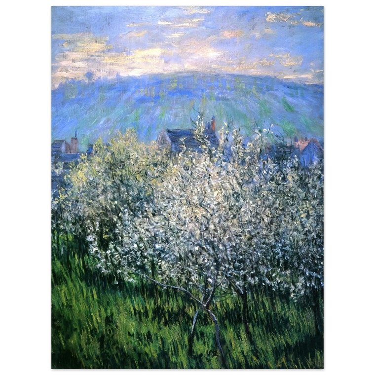 claude monet  Plums Blossom Aluminum Print