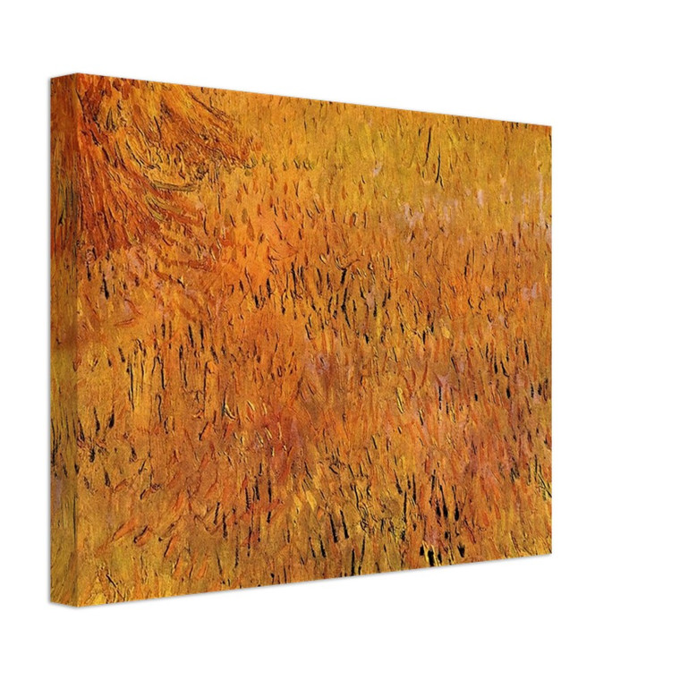 Vincent van Gogh  Arles View from the Wheat Fields Canvas