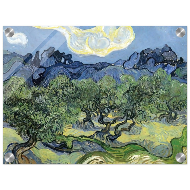 Vincent van Gogh  The Alpilles with Olive Trees in the Foreground Acrylic Print