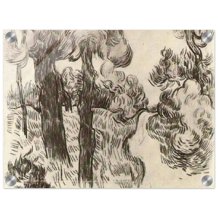 Vincent van Gogh  Path between Pine Trees Acrylic Print