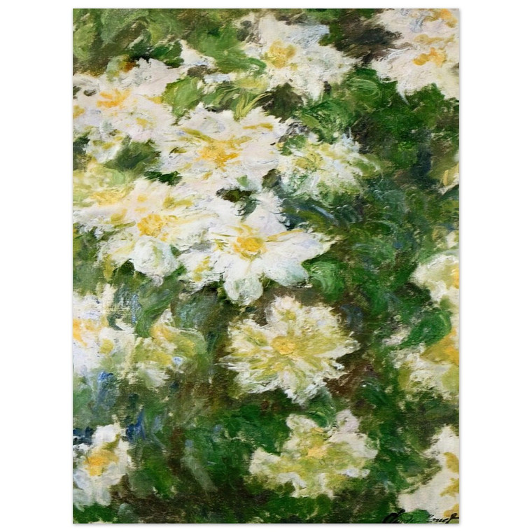 claude monet  White Clematis Aluminum Print