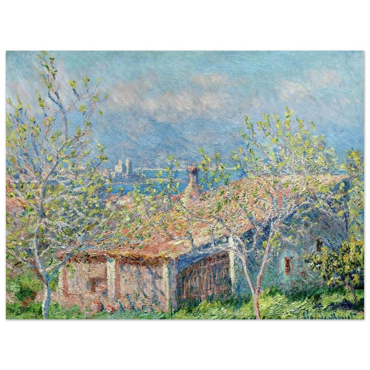 claude monet  Gardeners House at Antibes Aluminum Print