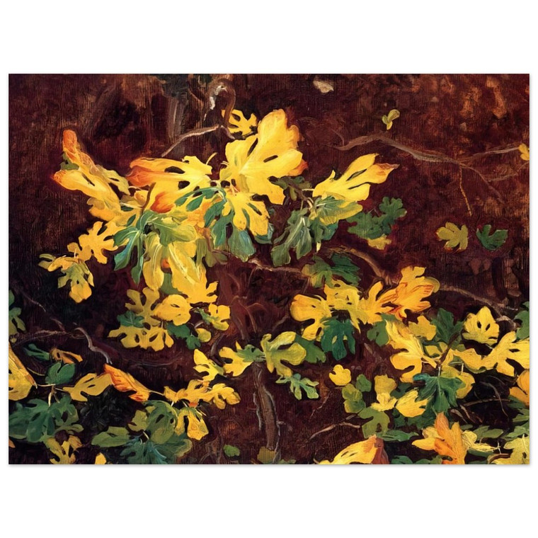 John Singer Sargent  Study of a Fig Tree Aluminum Print
