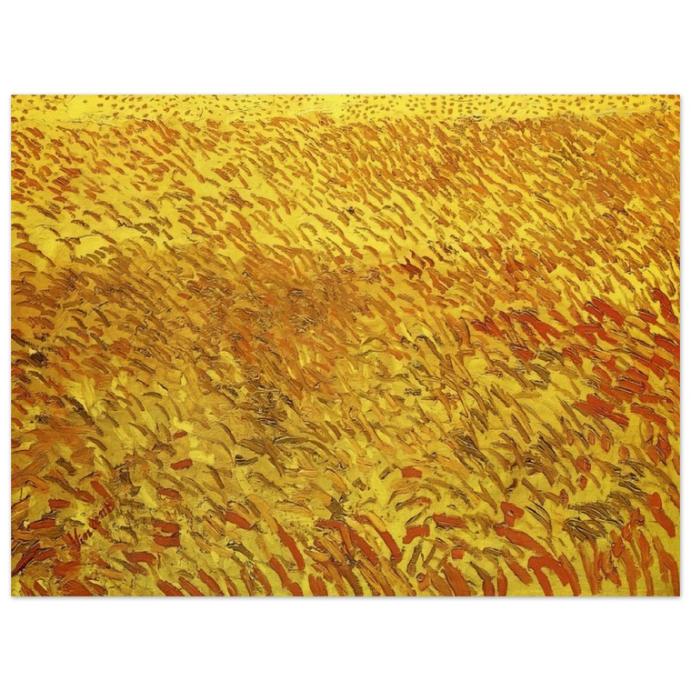 Vincent van Gogh  Summer Evening Wheatfield with Setting sun Wood Print