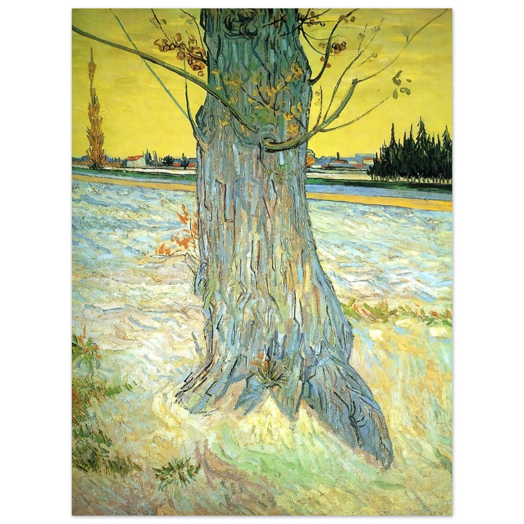 Vincent van Gogh  Trunk of an Old Yew Tree Aluminum Print