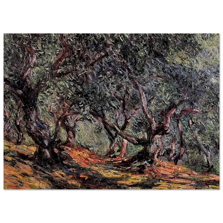 claude monet  Olive Trees in Bordigher Fine Art Poster / Art Print