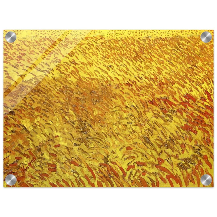 Vincent van Gogh  Summer Evening Wheatfield with Setting sun Acrylic Print