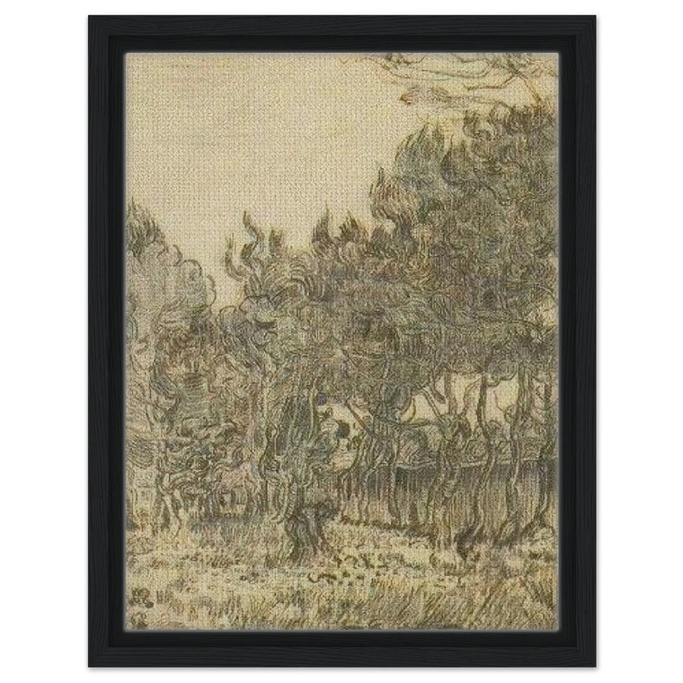 Vincent van Gogh  Pine Trees near the Wall of the Asylum Framed Canvas