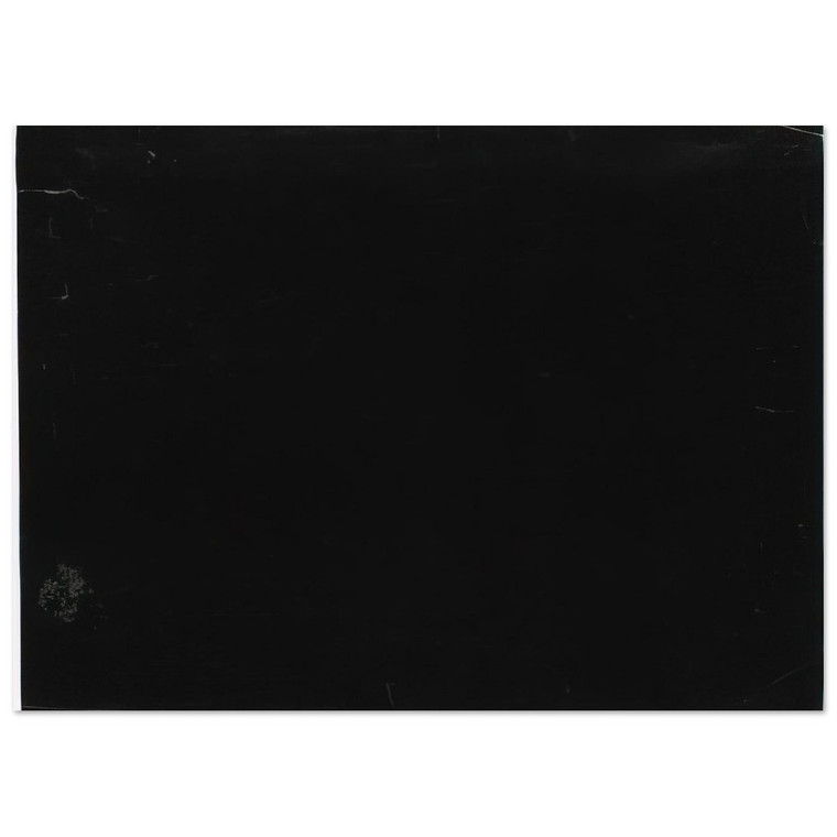 Ellsworth Kelly  Black Fine Art Poster / Art Print