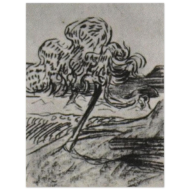 Vincent van Gogh  Study of a Fruit Tree Aluminum Print