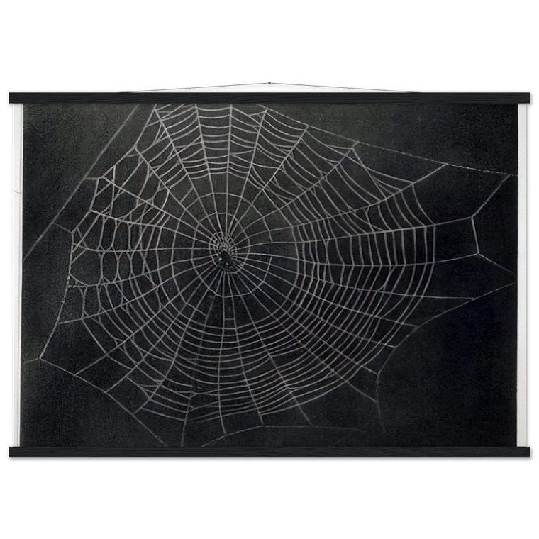 Vija Celmins UNTITLED SPIDER WEB 2000 Matte Paper Poster with Hanger