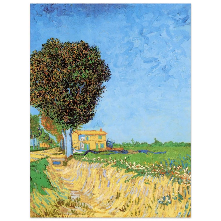 Vincent van Gogh  A Lane near Arles Aluminum Print