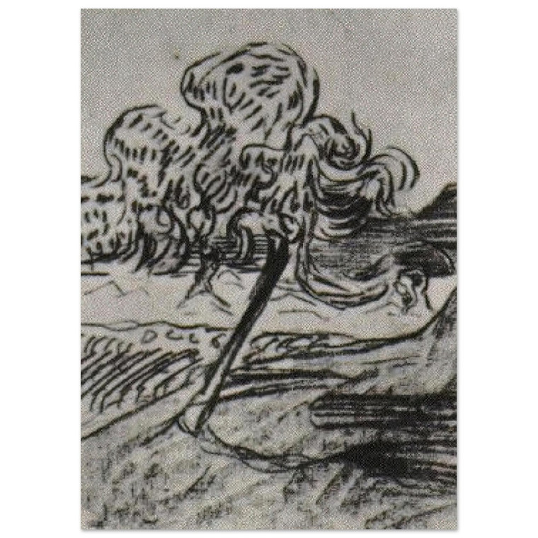 Vincent van Gogh  Study of a Fruit Tree Fine Art Poster / Art Print