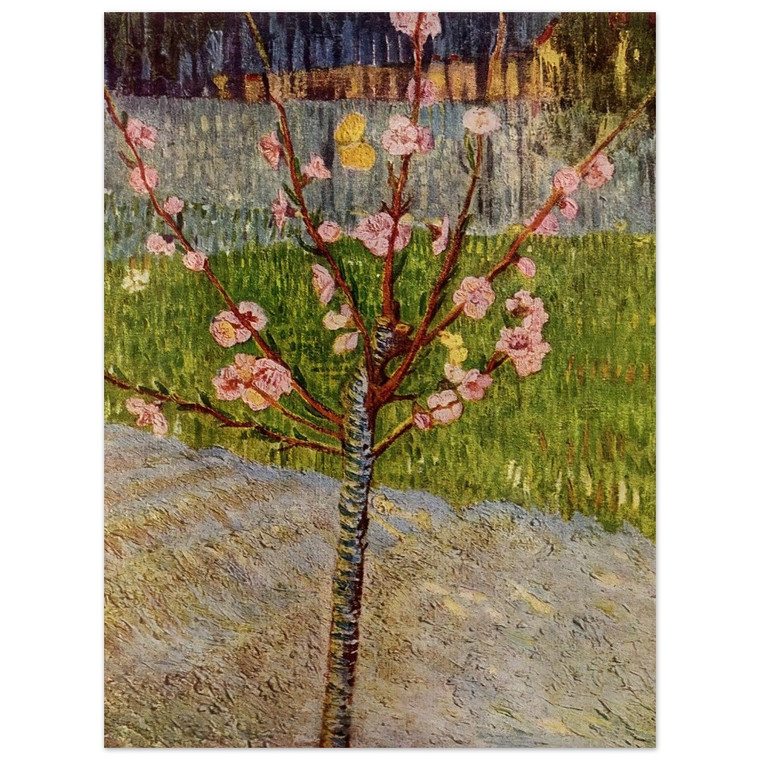 Vincent van Gogh  Almond Tree in Blossom Aluminum Print