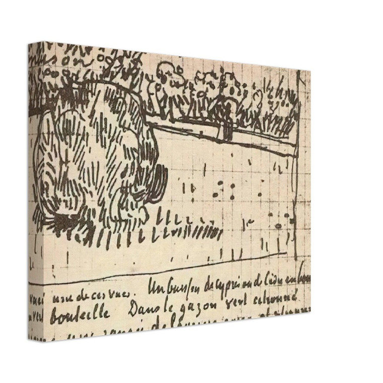 Vincent van Gogh  Round Clipped Shrub in the Public Garden Canvas