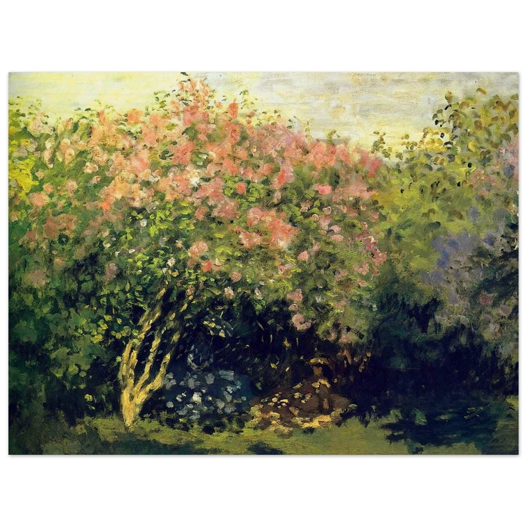claude monet  Lilacs in the Sun Wood Print
