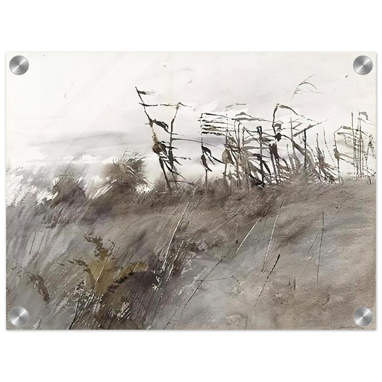 Andrew Wyeth  NOVEMBER FIRST 1950 Acrylic Print