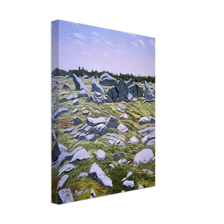 Neil Welliver  Midday Barren  1983 Canvas