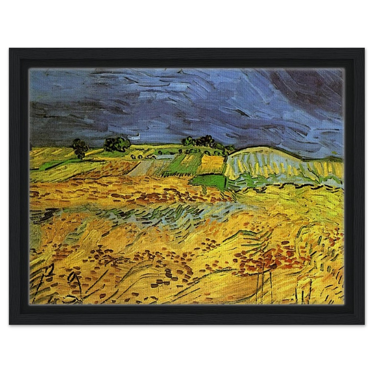 Vincent van Gogh  The Fields Framed Canvas