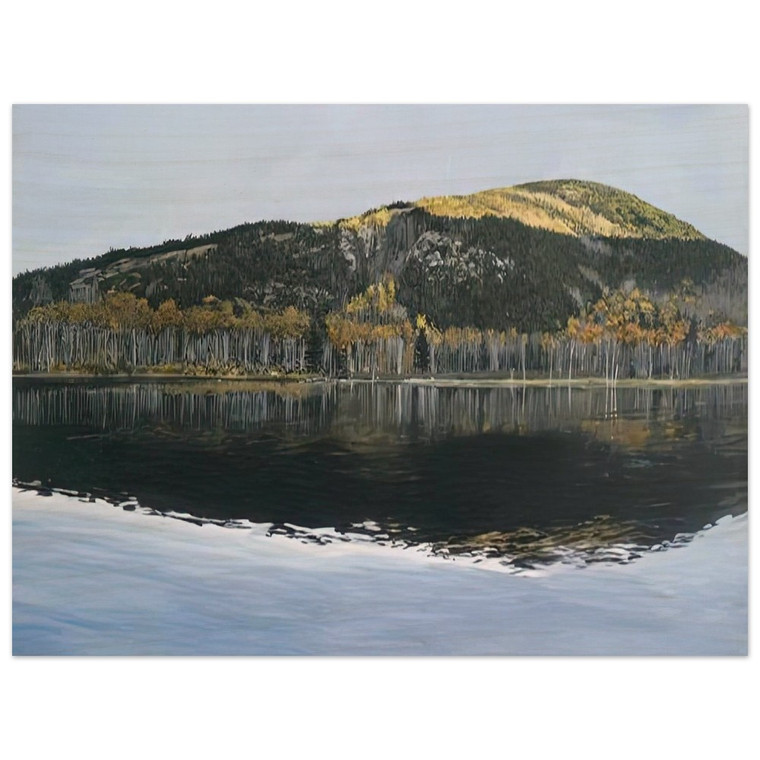 Richard Estes  BEAVER DAM POND ACADIA NATIONAL PARK 2009 Wood Print