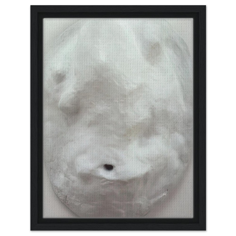 Louise Bourgeois  AMOEBA 1965 Framed Canvas