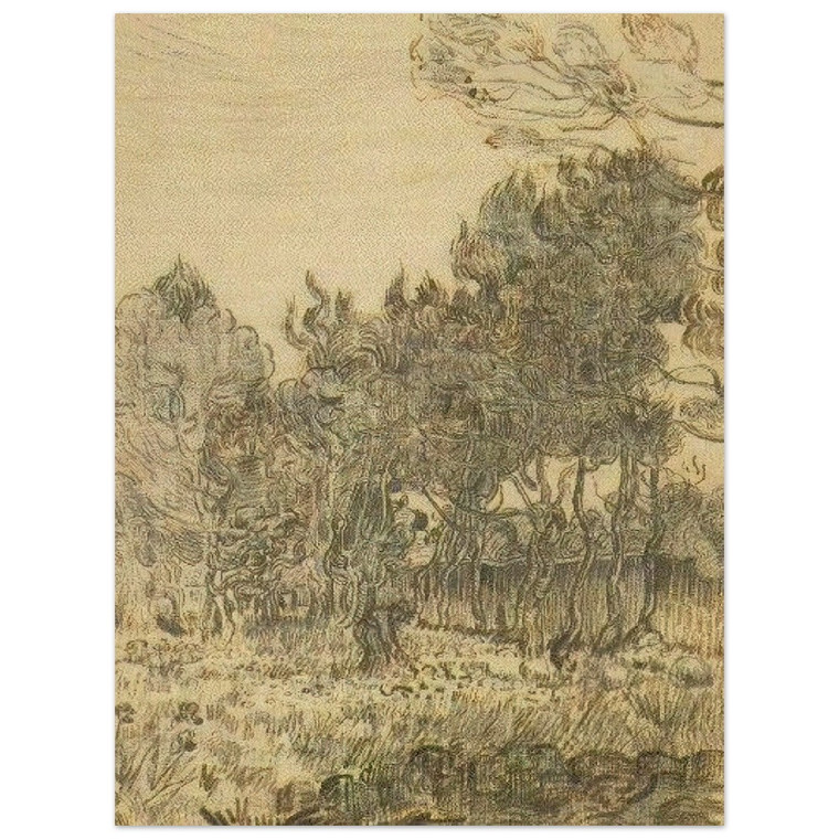 Vincent van Gogh  Pine Trees near the Wall of the Asylum Wood Print