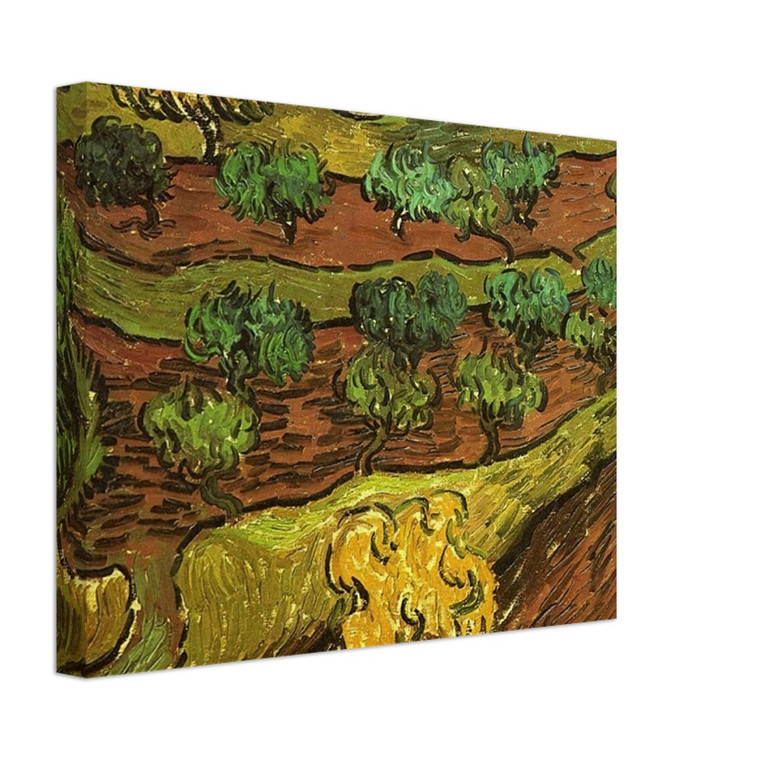 Vincent van Gogh  Olive Trees against a Slope of a Hill Canvas