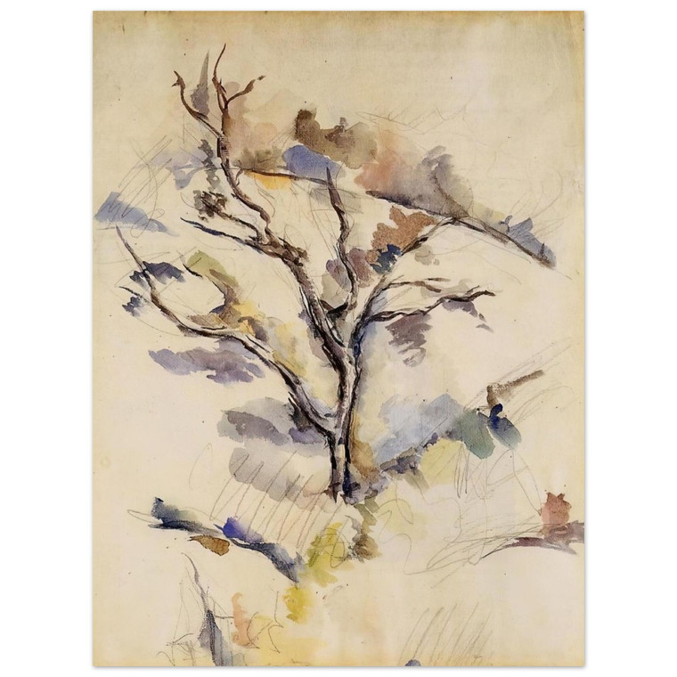 Paul Cezanne  The Oak Aluminum Print