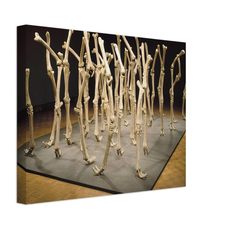 Nancy Graves  VARIABILITY OF SIMILAR FORMS 1970 Canvas