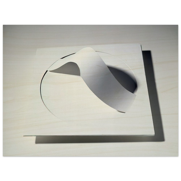 Lygia Pape  Book of Architecture Free Lance Concrete  1960 Wood Print