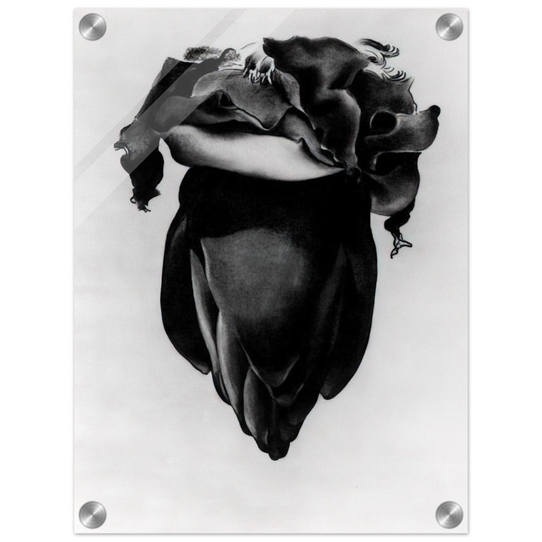 Georgia OKeeffe  Banana Flower Acrylic Print
