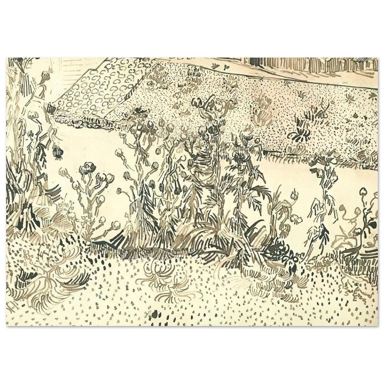 Vincent van Gogh  Thistles Along the Roadside Fine Art Poster / Art Print