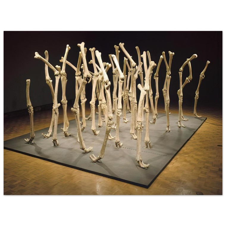 Nancy Graves  VARIABILITY OF SIMILAR FORMS 1970 Aluminum Print