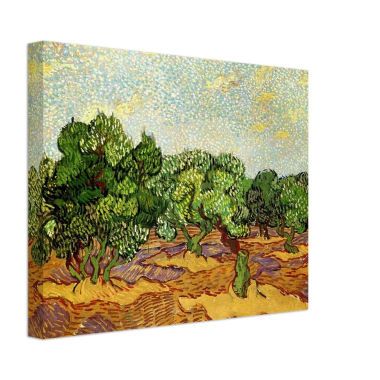 Vincent van Gogh  Olive Grove  Pale Blue Sky Canvas