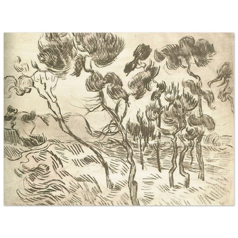 Vincent van Gogh  A Group of Pine Trees near a House Wood Print