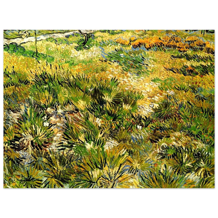 Vincent van Gogh  Meadow in the Garden of SaintPaul Hospital Aluminum Print