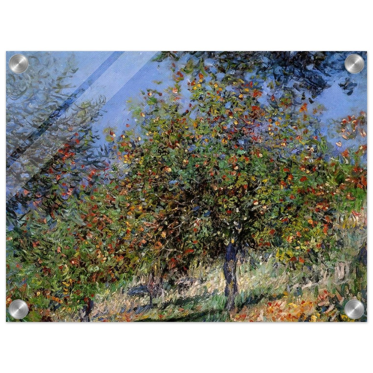 claude monet  Apple Trees on the Chantemesle Hill Acrylic Print
