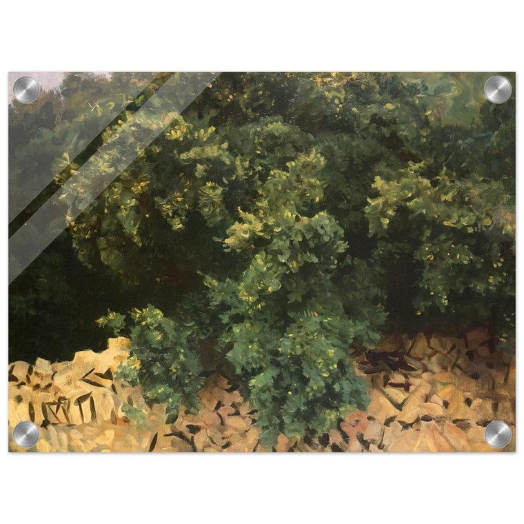 John Singer Sargent  Ilex Wood Majorca Acrylic Print