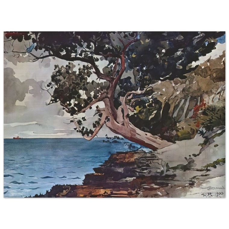 Winslow Homer  NORTH ROAD BERMUDA Wood Print