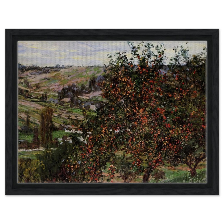 claude monet  Apple Trees near Vetheuil Framed Canvas