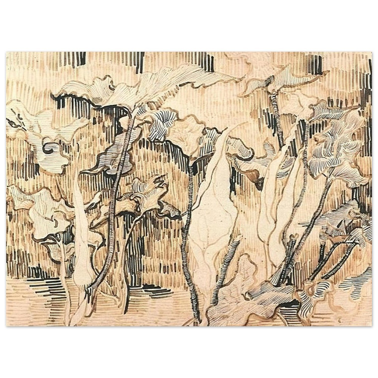 Vincent van Gogh  Arums Aluminum Print