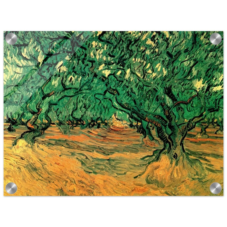 Vincent van Gogh  Olive Trees Acrylic Print