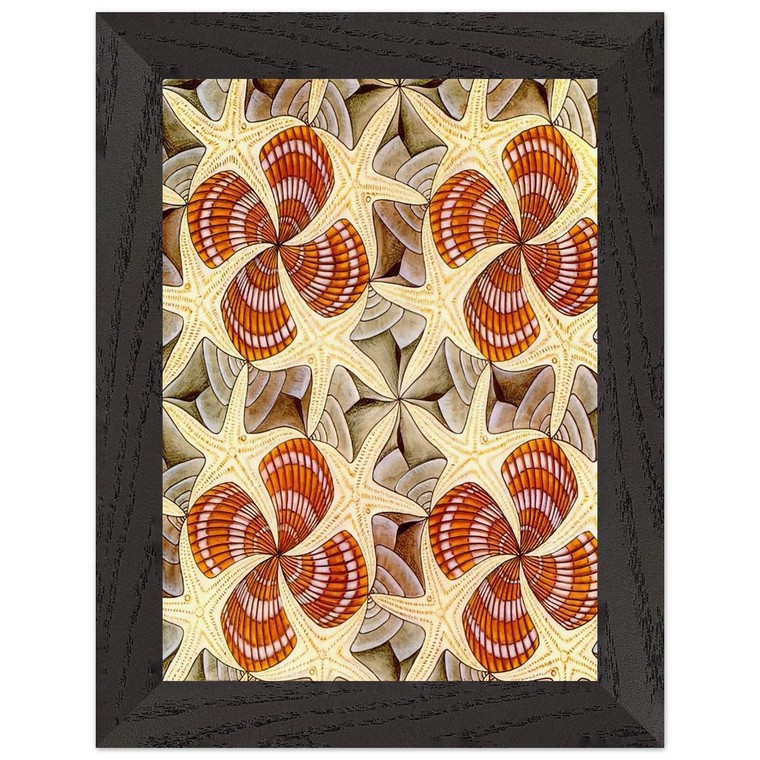 MC Escher  SHELLS AND STARFISH Premium Wooden Framed Art Print / Poster