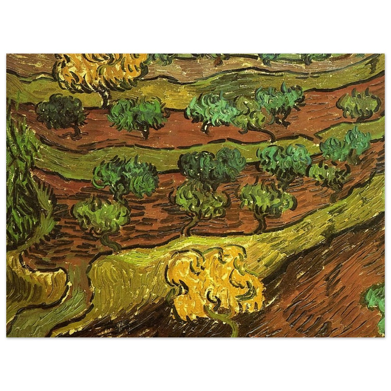 Vincent van Gogh  Olive Trees against a Slope of a Hill Aluminum Print