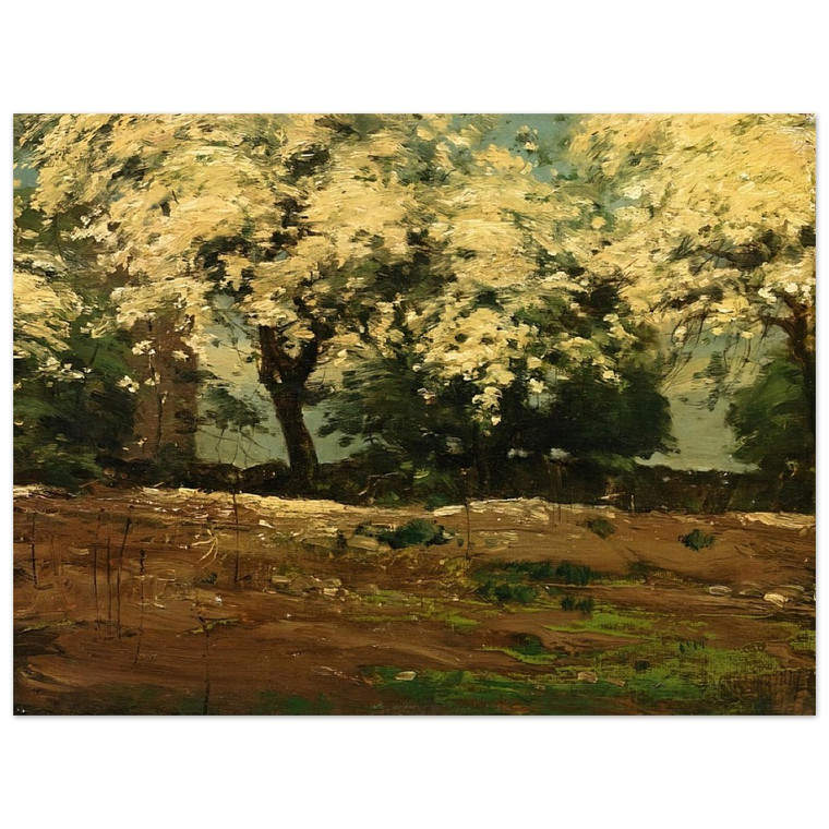 Childe Hassam  Blossoms Aluminum Print